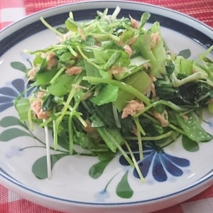 カット野菜と豆苗で無限サラダ